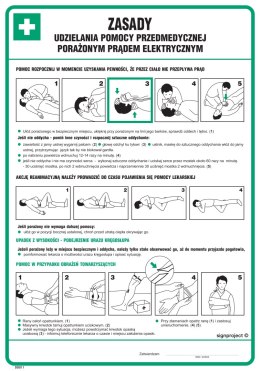 Znak DD011 Zasady udzielania pomocy przedmedycznej porażonym prądem elektryczny, 245x350 mm, PN - Płyta 1 mm