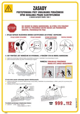 Znak DD020 Zasady postępow.przy uwalnianiu porażonego spod działania prądu elektr. o niskim napięciu poniżej 10, 245x350 mm, PN 