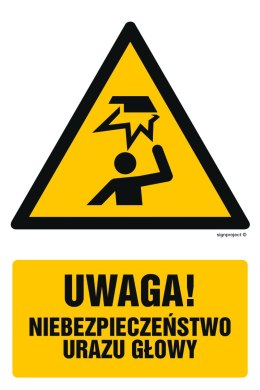 Znak GF017 Uwaga - niebezpieczeństwo urazu głowy, 100x150 mm, PS - Płyta 1 mm fotoluminescencyjna