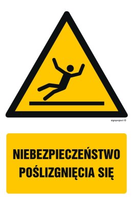 Znak GF019 Niebezpieczeństwo poślizgnięcia się, 100x150 mm, TS - Płyta TD fotoluminescencyjna