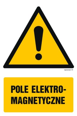 Znak GF002 Pole elektromagnetyczne, 100x150 mm, FN - Folia samoprzylepna