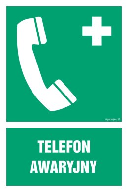 Znak GI006 Telefon awaryjny, 300x450 mm, TS - Płyta TD fotoluminescencyjna