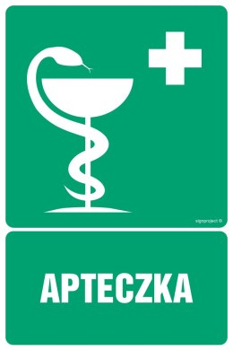 Znak GI008 Apteczka pierwszej pomocy, 300x450 mm, PN - Płyta 1 mm