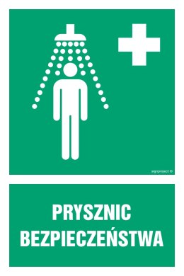 Znak GI002 Prysznic bezpieczeństwa, 250x375 mm, PS - Płyta 1 mm fotoluminescencyjna