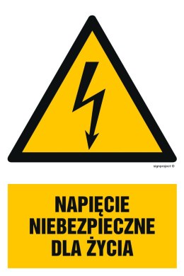 Znak HA002 Napięcie niebezpieczne dla życia, 100x150 mm, FN - Folia samoprzylepna