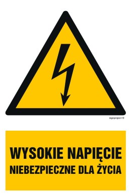 Znak HA004 Wysokie napięcie niebezpieczne dla życia, 100x150 mm, FN - Folia samoprzylepna