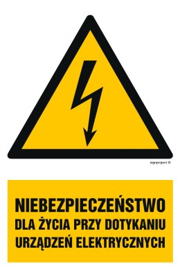 Znak HA006 Niebezpieczeństwo dla życia przy dotykaniu urządzeń elektrycznych, 150x225 mm, PN - Płyta 1 mm