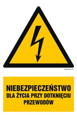 Znak HA007 Niebezpieczeństwo dla życia przy dotknięciu przewodów, 200x300 mm, PN - Płyta 1 mm