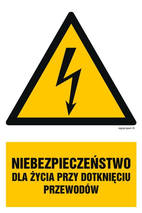 Znak HA007 Niebezpieczeństwo dla życia przy dotknięciu przewodów, 250x375 mm, PN - Płyta 1 mm