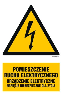 Znak HA028 Pomieszczenie ruchu elektrycznego urządzenie elektryczne napięcie niebezpieczne dla życia - arkusz 9 naklejek, 50x75 