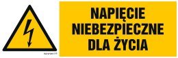 Znak HB002 Napięcie niebezpieczne dla życia, 150x50 mm, FN - Folia samoprzylepna