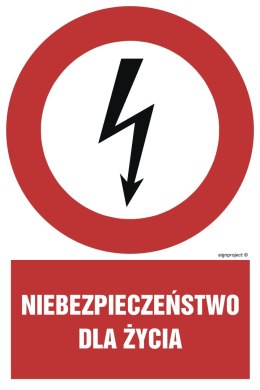 Znak HC001 Niebezpieczeństwo dla życia, 300x450 mm, PN - Płyta 1 mm