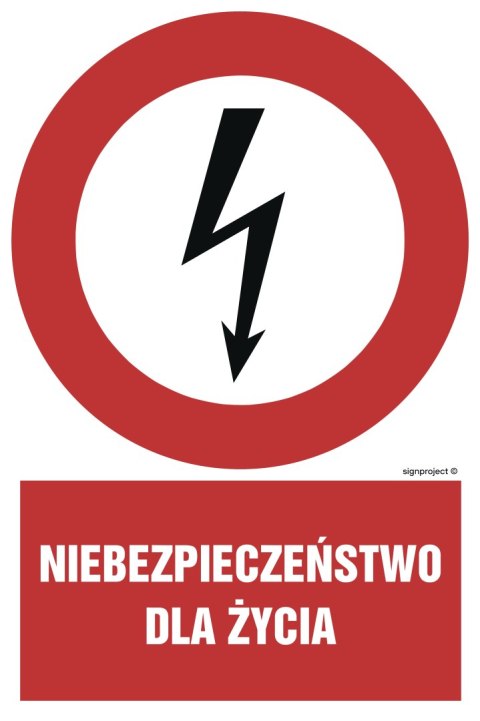 Znak HC001 Niebezpieczeństwo dla życia - opakowanie 10 sztuk, 50x75 mm, PN - Płyta 1 mm