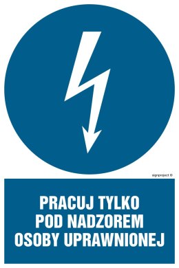 Znak HE010 Pracuj tylko pod nadzorem osoby uprawnionej, 250x375 mm, PN - Płyta 1 mm