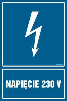 Znak HG008 Napięcie 230 V, 300x450 mm, PN - Płyta 1 mm