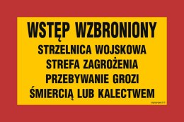 Znak JE005 Wstęp wzbroniony strzelnica wojskowa strefa zagrożenia przebywanie grozi śmiercią lub kalectwem, 600x400 mm, BN - Pły