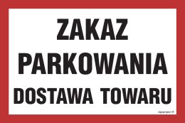 Znak NC049 Zakaz parkowania dostawa towaru, 300x200 mm, FN - Folia samoprzylepna