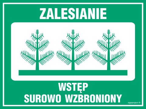 Znak OB002 Zalesianie - wstęp surowo wzbroniony, 400x300 mm, PN - Płyta 1 mm