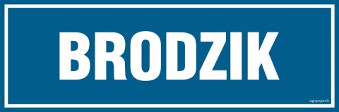 Znak PA037 Brodzik, 300x100 mm, PN - Płyta 1 mm